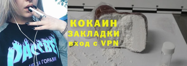 индика Саяногорск