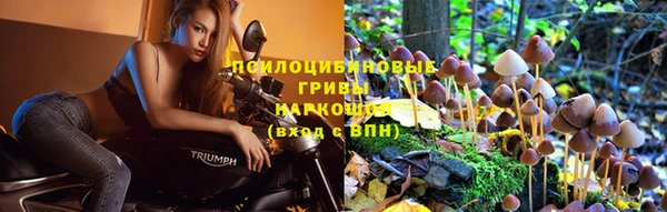 стафф Алзамай