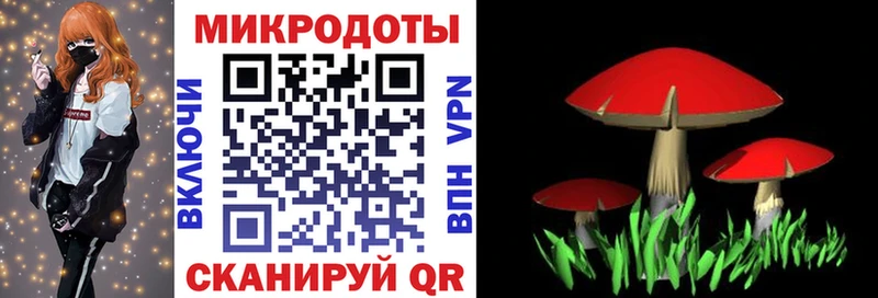 blacksprut зеркало где найти наркотики Кропоткин маркетплейс какой сайт Галлюциногенные грибы Cubensis