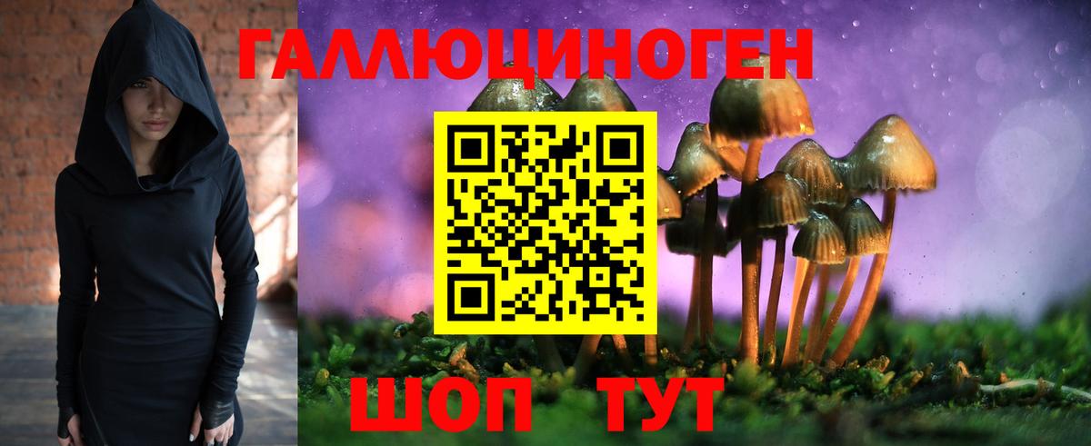 Галлюциногенные грибы MAGIC MUSHROOMS Кропоткин